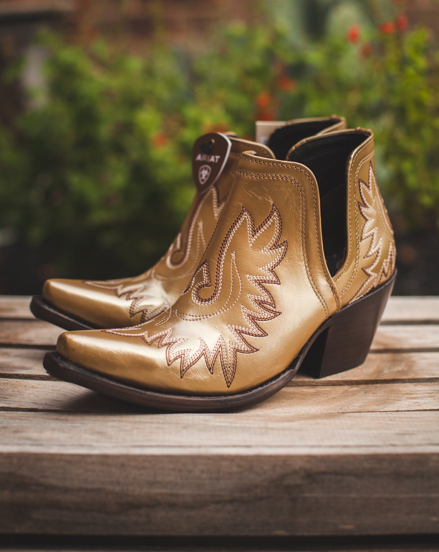 Ariat on sale dixon gold